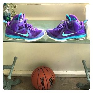 Lebron 9s summit lakes